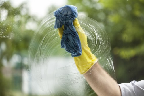 Professional pet stain odour removal restoring a fresh indoor space